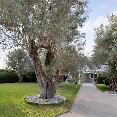 Apartmán Elaia 5 *